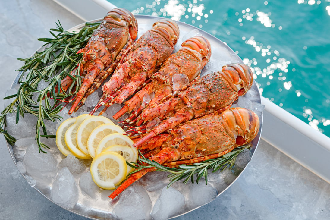 lobsters on ice with lemon and rosemary sprigs